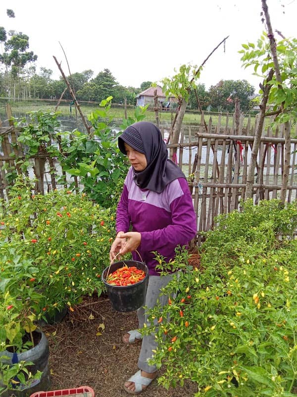 Empang Cilamaran Indah - Image 1