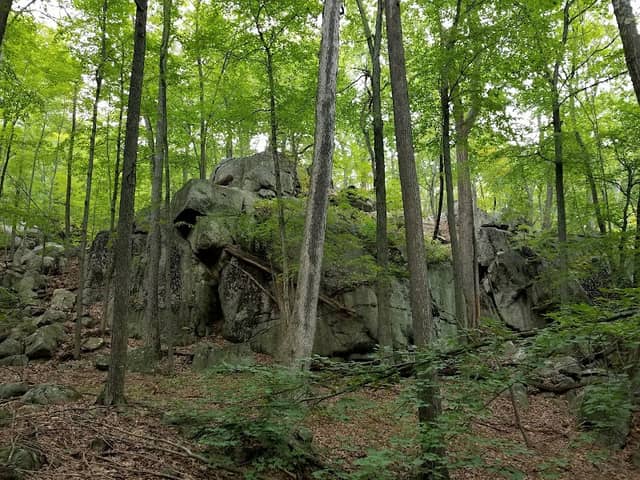 Sterling Forest Corporation - Image 2