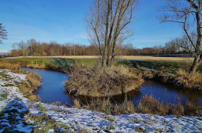 Burchvif Lanchetta Michela - Image 1