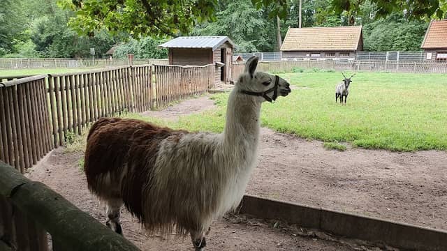 Salzwedel Zoo - Image 1