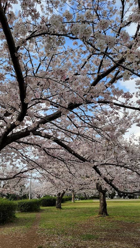 Yasaki Park - Image 1