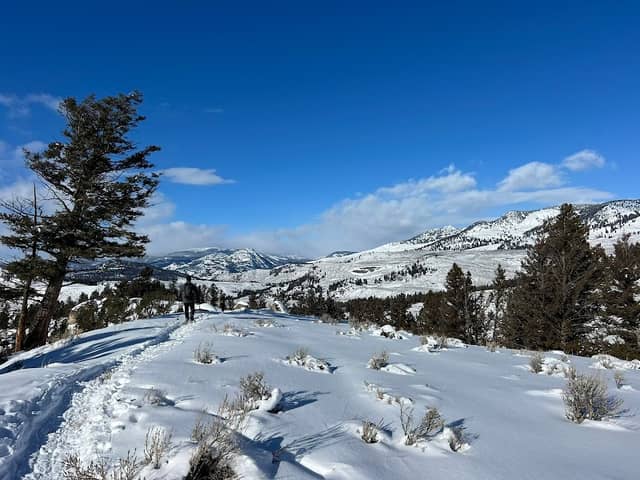 Big Sky Adventures & Tours - Image 2