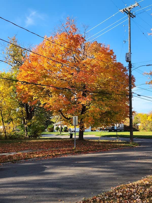 Brennan Park - Image 2