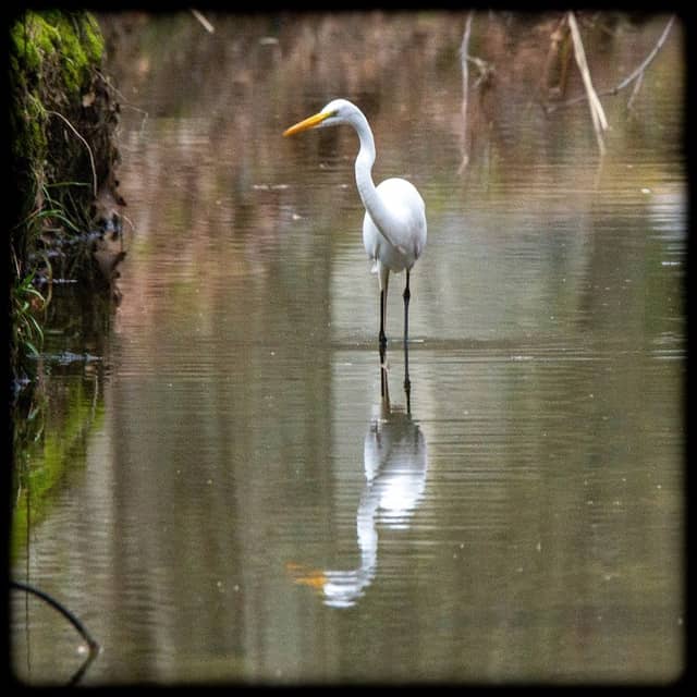 Jefferson Highway Park - Image 1