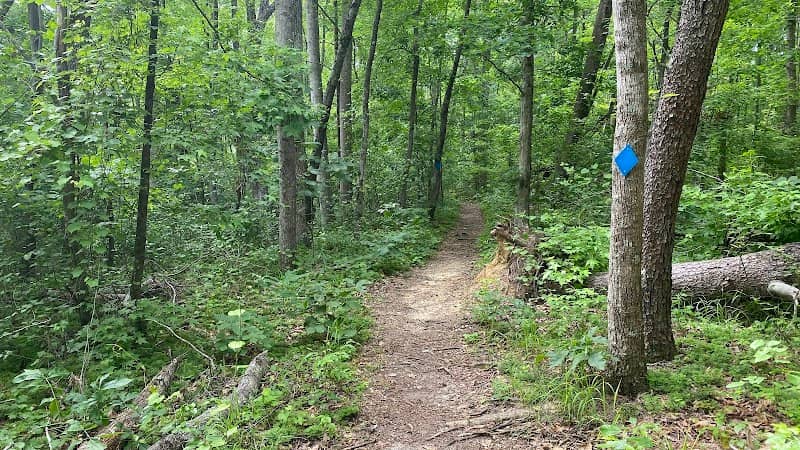 ICC Trails - Image 1