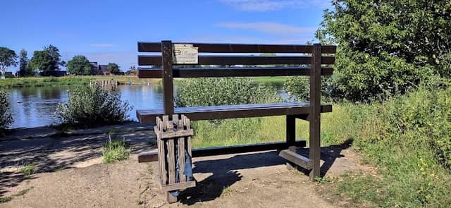 Baumelbank-Ronney mit Ausblick zur Fähre Barby - Image 1
