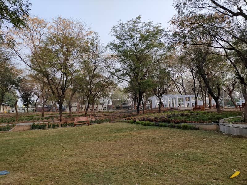 Oxygen Park - Image 2
