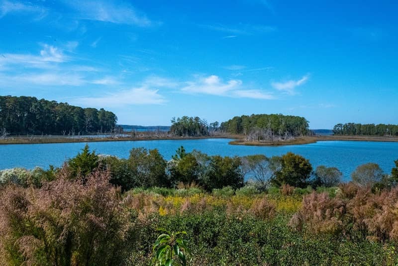 Machicomoco State Park - Image 2