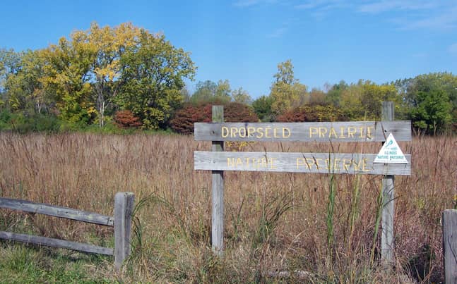 Indian Boundary Prairies - Dropseed Prairie - Image 1
