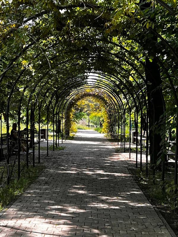 Tunel roślinny - Image 1