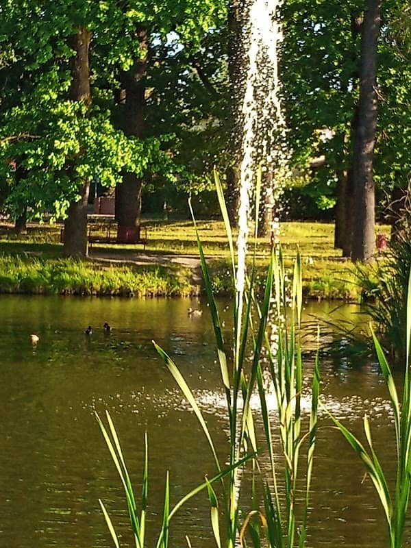 Am Springteich - Image 1