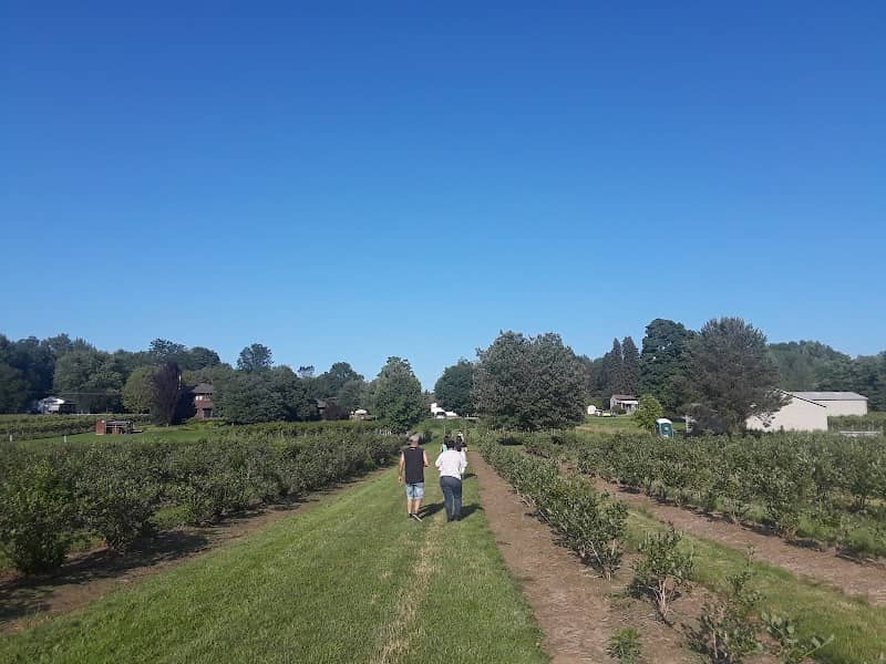 Erdle Farm - Image 2