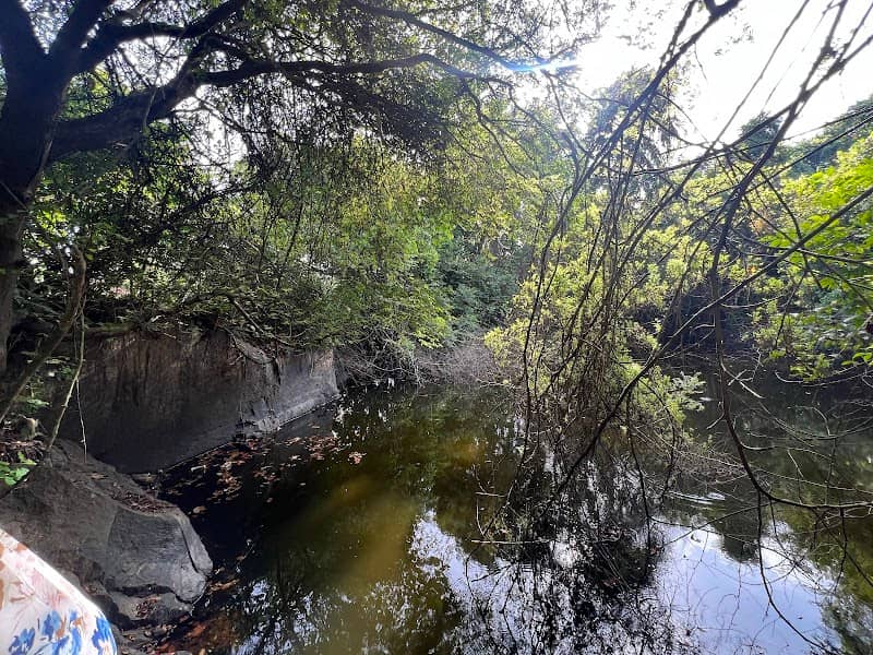 Paarakulam - Image 1