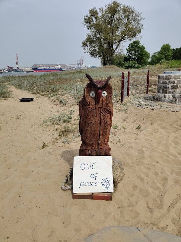 Owl of Peace - Image 1