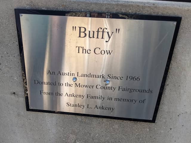 Buffy the Cow - Image 2