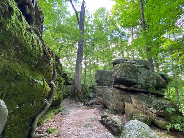Nelson-Kennedy Ledges State Park - Image 2