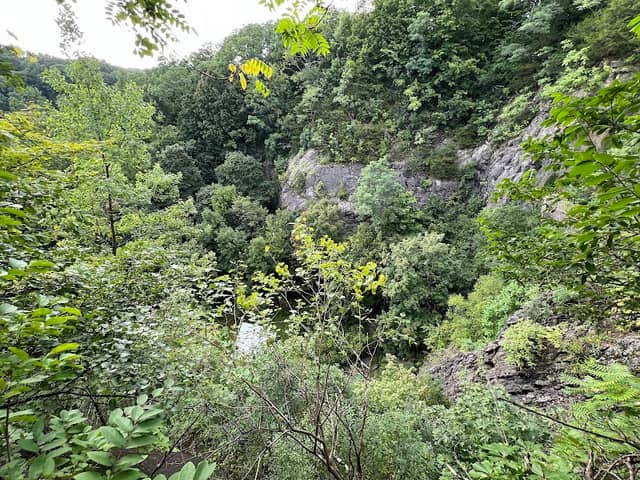 Red Fox Ravine - Image 2