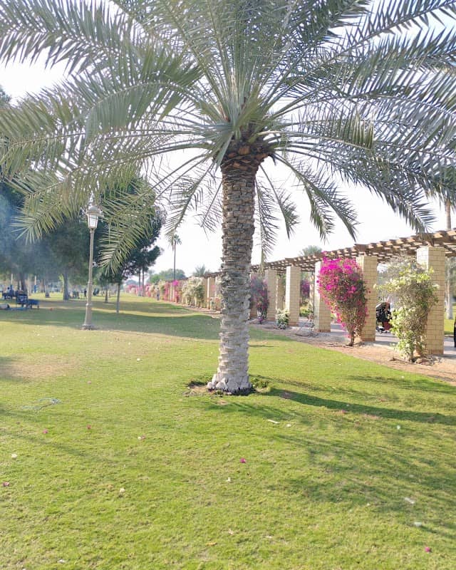 Sharjah National Park Gate 2 - Image 2