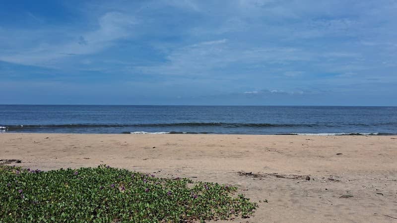 Coco tree way beach - Image 1