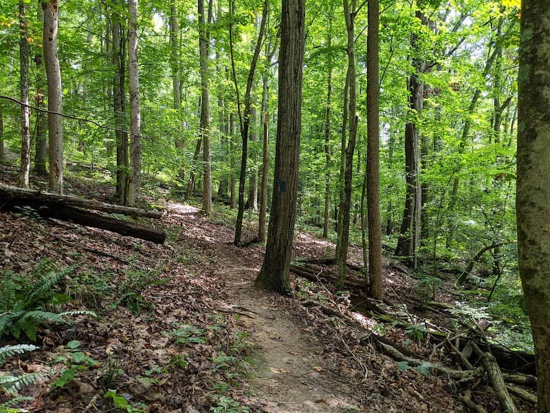 Mid County Park - Image 2