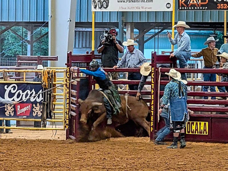 Southeastern Pro Rodeo - Image 1