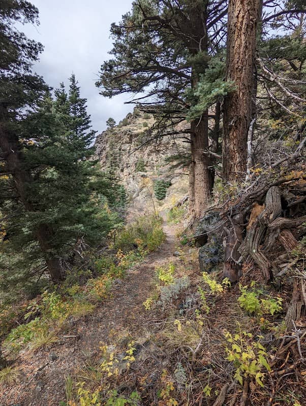 Wellington Ditch Trail - Image 3