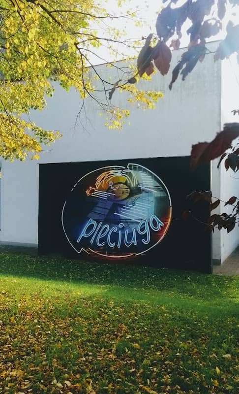 mural "Pleciuga" - Image 1