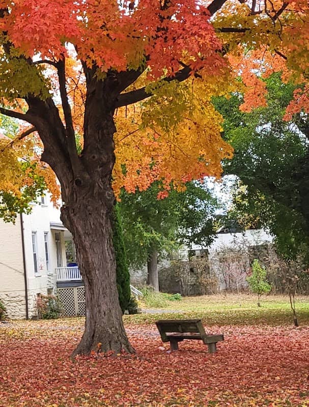 Hager Park - Image 2