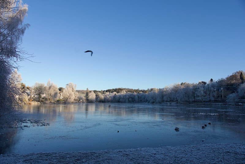 Tannoch Loch - Image 2