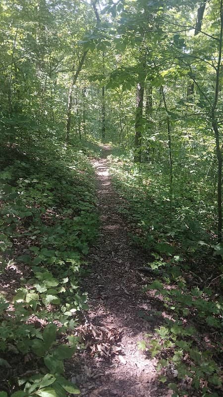 Oswald Dome Trailhead - Image 1