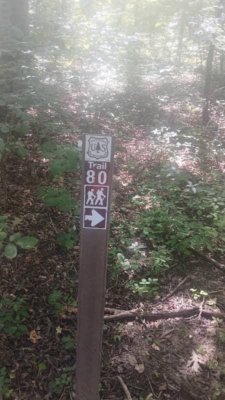 Oswald Dome Trailhead - Image 2