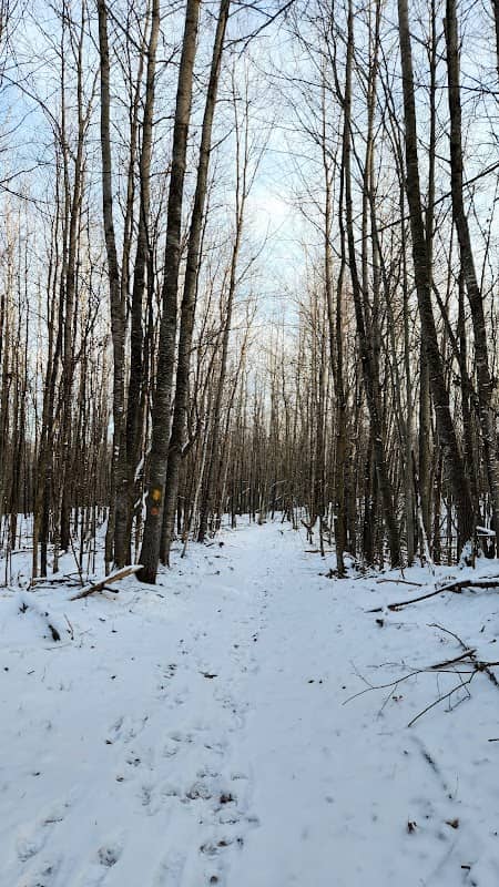 Ice Age Trail Bear Lake Segment - Image 1