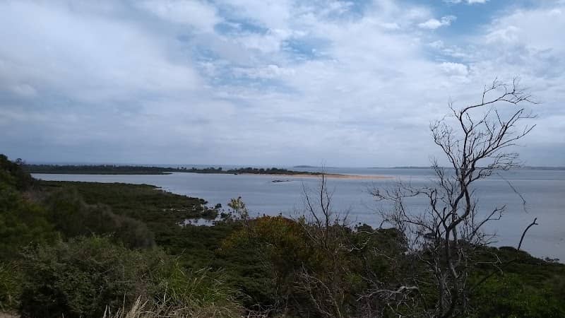Observation Lookout - Image 1