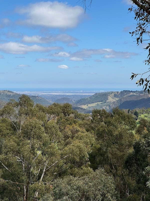 Thomas Hill Lookout - Image 1