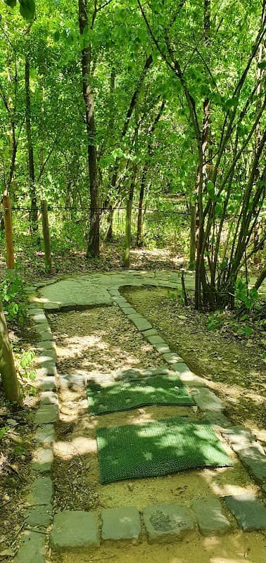 Barfußpfad - Image 1