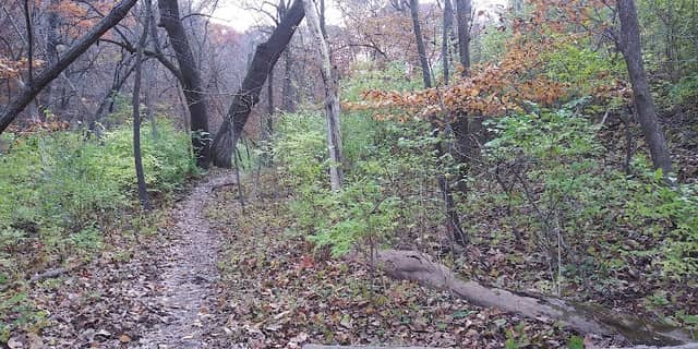 Trailhead - Image 2