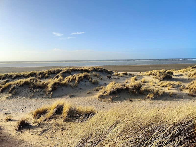 Duinen van Goeree - Image 2