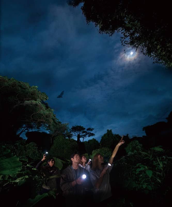 Uwaga Jungle - Image 2
