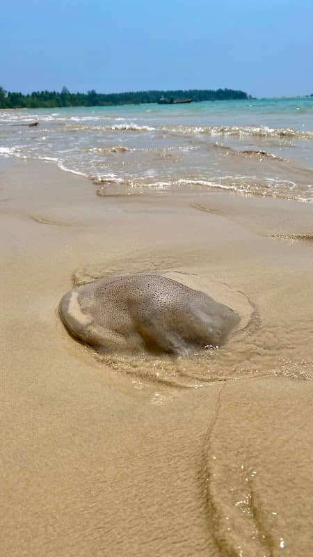 White Sand Beach - Image 1