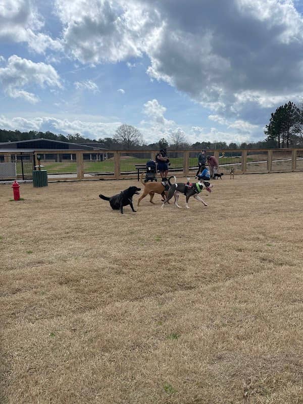 Bark Park - International Park - Image 1