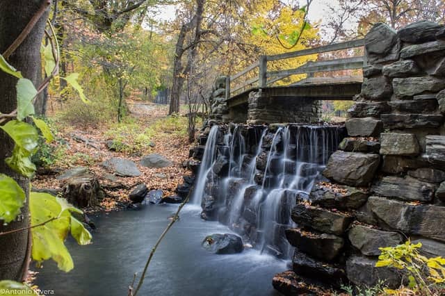 Tibbetts Brook Park - Image 2