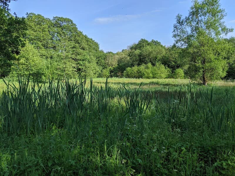 Lucy’s Meadow - Image 1