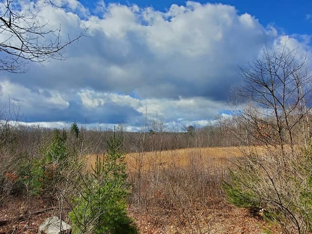 Beaudoin Conservation Area - Image 1