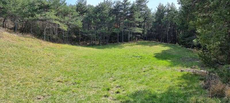 Parc à sanglier - Image 3