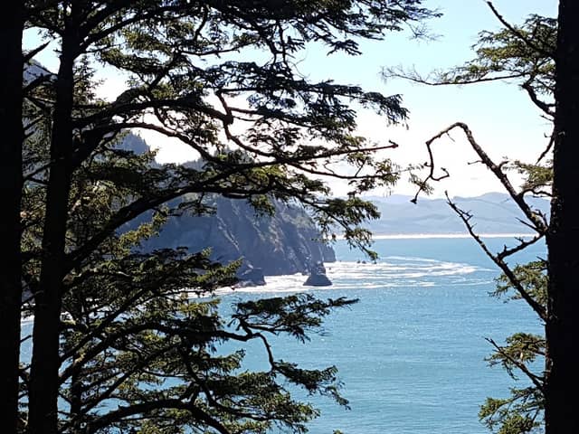 Cape Falcon Trailhead - Image 2