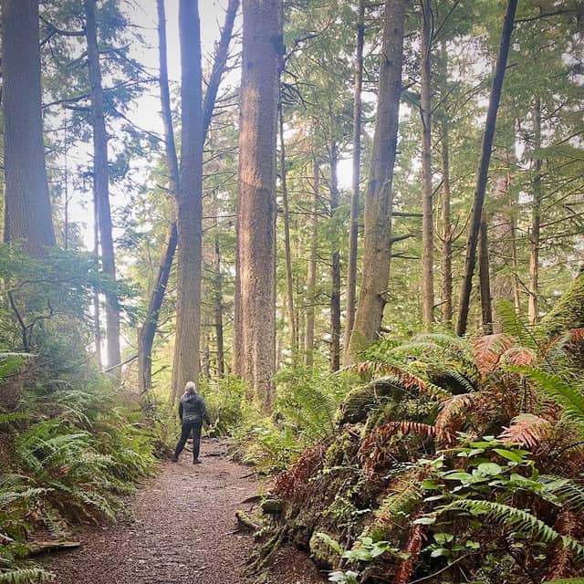 Cape Falcon Trailhead - Image 1