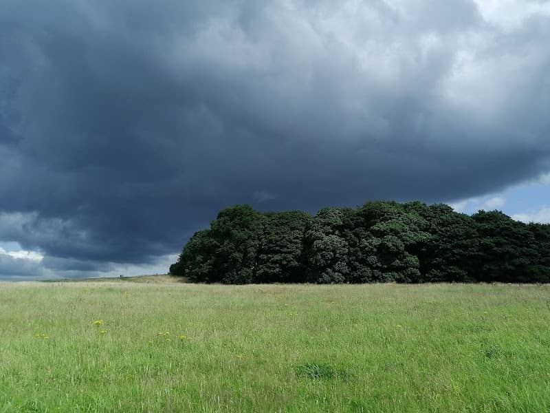 Bunny Hill - Image 1