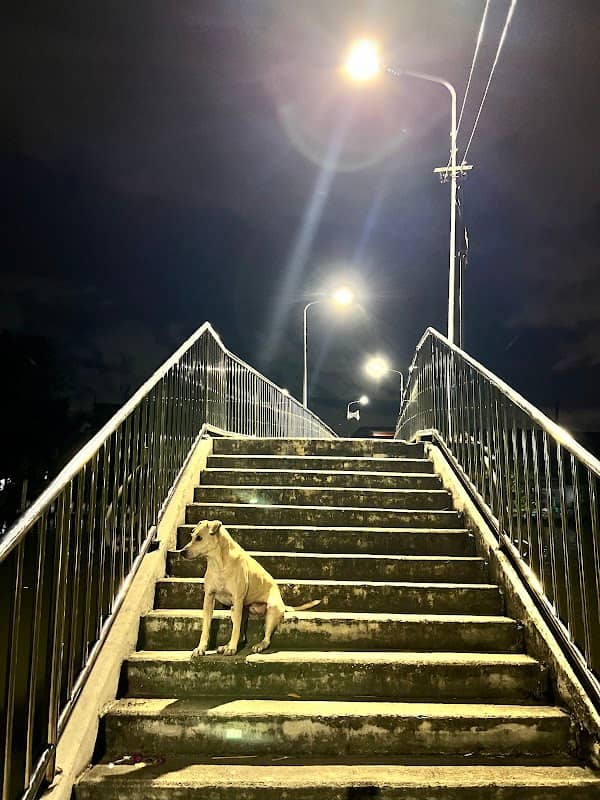 สะพานมอญบางกระดี่ - Image 1