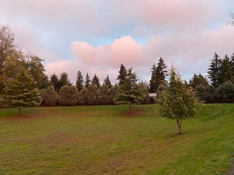 Wedgewood Park - Image 1