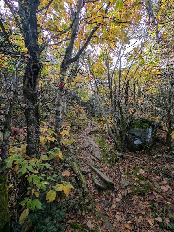 Twin Mountain Lookout - Image 3